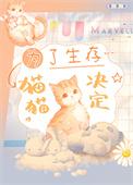 猫猫决定by关尼尼免费阅读