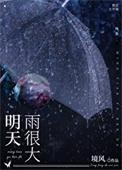 明天雨很大境风笔趣阁