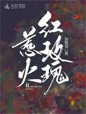 惹火玫瑰女主主演的电视剧